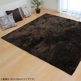 ラグ カーペット 『ラルジュ』 ブラウン 約130×185cm(ホットカーペット対応) 3958809【メーカー直送：代金引換不可：同梱不可】【北海道・沖縄・離島は配達不可】