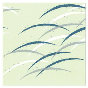  Sbv XXL  S 100Zbg S-255By[J[FsFszykCEE͔zBsz