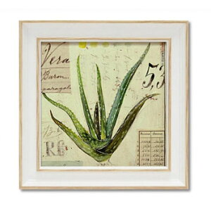 ~jQ A[gt[ AWF X^[OuAGxv AS-02043y[J[FsFszykCEE͔zBsz