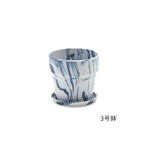 A[ovc|bg ~N/u[x[ 81092y[J[FsFszykCEE͔zBsz