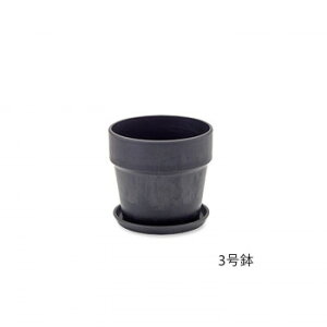 A[ovc|bg `R[ 81095y[J[FsFszykCEE͔zBsz