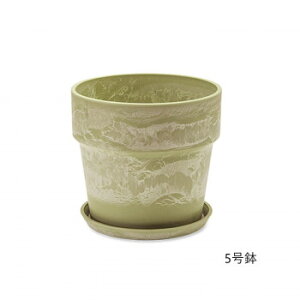 A[ovc|bg Z[W 81117y[J[FsFszykCEE͔zBsz