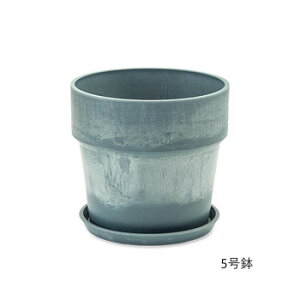 A[ovc|bg P[ 81119y[J[FsFszykCEE͔zBsz