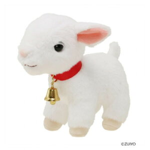 ZLO`@L@ʂ݁@STCY@655250y[J[FsFszykCEE͔zBsz