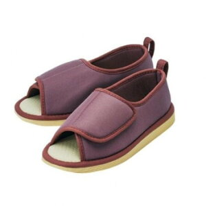 ]|\hV[YܐȂ@L@091194y[J[FsFszykCEE͔zBsz