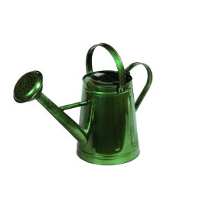 WE O[ 81526y[J[FsFszykCEE͔zBsz