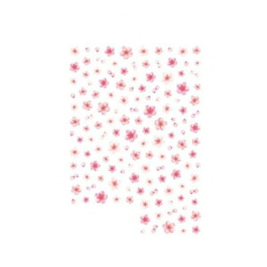 TSUMEKIRA(cL)  9 NN-SKR-901yz@:[/s/s/wszykCEE͔zBsz