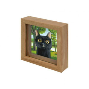 䒉 ~j~j{bNXt[uӁv@IT-01268y[J[FsFszykCEE͔zBsz