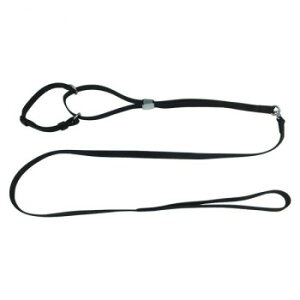 pP[h ^p \tg}[`Q[h M y[J[FsFszykCEE͔zBsz