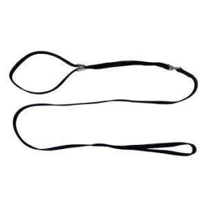 pP[h ^p \tgV[[h M y[J[FsFszykCEE͔zBsz