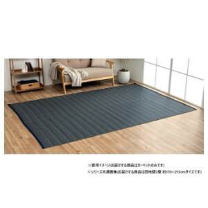 ���{�� �􂦂邢�����J�[�y�b�g �l�C�r�[ �c�n��3�� ��170×255cm 1090031190302�y���[�J�[�����F��������s�F�����s�z�y�k�C���E����E�����͔z�B�s�z