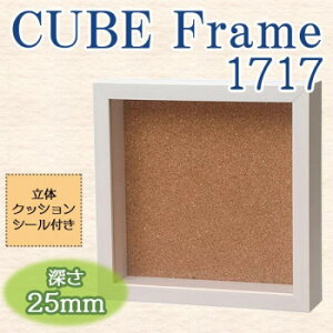 L[ut[@1717@WH@102140y[J[FsFszykCEE͔zBsz