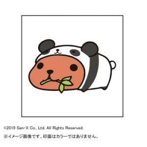 Jsp X^v Jsp p_ KB550Jy[J[FsFszykCEE͔zBsz