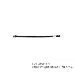 DANNO _m ^Oxg S D1210y[J[FsFszykCEE͔zBsz