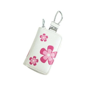 AWESOME(I[T) X}[gL[P[X t[ zCg ASK-FW02y[J[FsFszykCEE͔zBsz