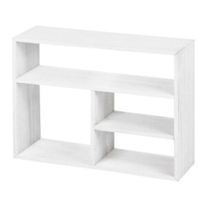 Ebh EH[fBXvC AC{[ 16-19IVy[J[FsFszykCEE͔zBsz