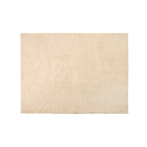 ���J ���O 130×180cm RG-20�y���[�J�[�����F��������s�F�����s�z�y�k�C���E����E�����͔z�B�s�z