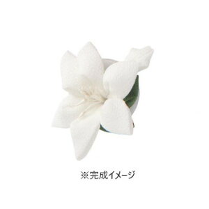 IpX ͂߂Ă̂܂ݍ׍H Lbg ̃u[` TZ-8@Ayz@:[/s/s/wszykCEE͔zBsz