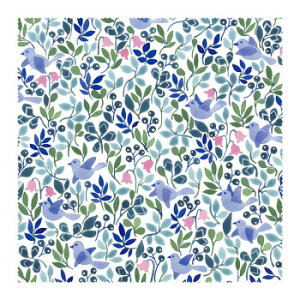 UB[i~j}bNX Anna Emilia Kl@ 1 AE-2yz@:[/s/s/wszykCEE͔zBsz