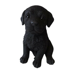 hbOI[ig(uh[Ego[)@14061y[J[FsFszykCEE͔zBsz