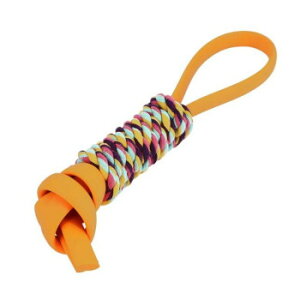 [N [v mbeB[ ^O IW ybgpiy[J[FsFszykCEE͔zBsz