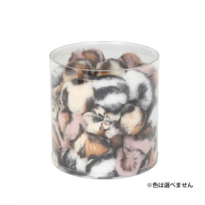 [N [v Cg R{[Tt@BOXZbg(50) ybgpiy[J[FsFszykCEE͔zBsz