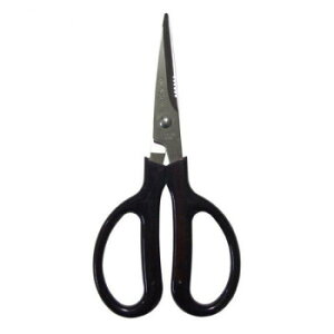  xT[H|nT~ 175mm 880y[J[FsFszykCEE͔zBsz