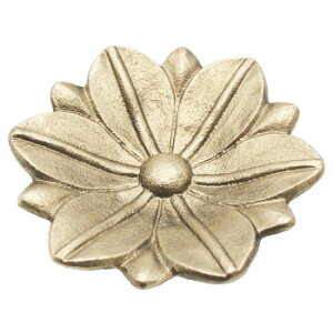 eB[Ct fR[ S[hACAgC t[ 821511y[J[FsFszykCEE͔zBsz