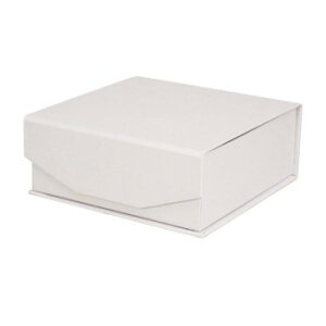 t[AW NX}Olbg{bNX XNGA S WH FC-676y[J[FsFszykCEE͔zBsz