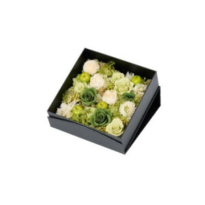 t[AW | O F-6190y[J[FsFszykCEE͔zBsz