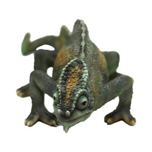 PET BANK ybgoN  PERSON CHAMELEON (p[\JI) 2102y[J[FsFszykCEE͔zBsz