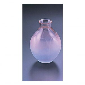 ͂Ȃق̂@@(6)@HO-6@PHN12y[J[FsFszykCEE͔zBsz