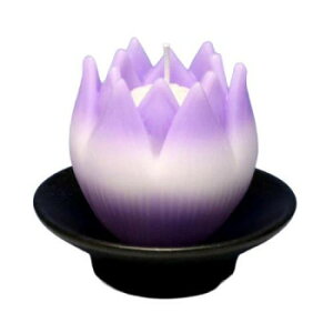 CX [\N B(tp[v) 146-01VIy[J[FsFszykCEE͔zBsz