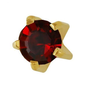 JPS セイフティピアッサー 耳用ロングタイプ ゴールドカラー(純金処理医療用ステンレス) 1月 7M101YL【メーカー直送:代金引換不可:同梱不可】【北海道・沖縄・離島は配達不可】