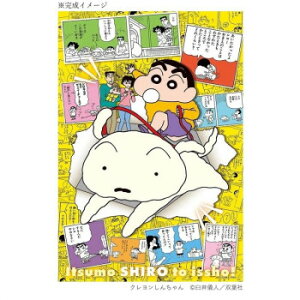 ro[ WO\[pY N񂿂35NA[gB 300s[X 300-162y[J[FsFszykCEE͔zBsz