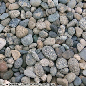 }cgY }gVREʍ l 2(3.5`5mm)O 20kgy[J[FsFszykCEE͔zBsz