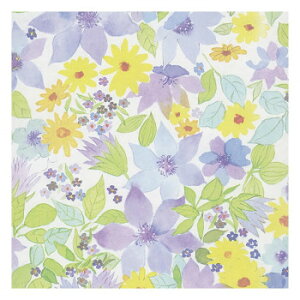 @oCIbg@lZS 100 XZK00056y[J[FsFszykCEE͔zBsz