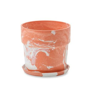 A[ovc|bg Lbg/~N 81142y[J[FsFszykCEE͔zBsz