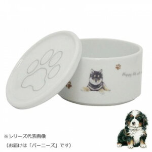 R X^bJ[SET() o[j[Y wa-se100-S6y[J[FsFszykCEE͔zBsz