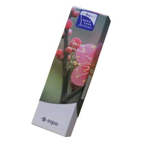 O Ԃ X X[NX(^Cv) XeBbN40g ~ 611y[J[FsFszykCEE͔zBsz