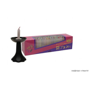 CX [\N Ԃ()20 171-03y[J[FsFszykCEE͔zBsz