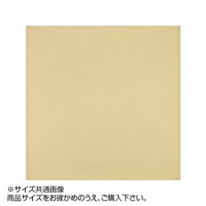gV[ J[NX 19×19cm A1919-YOO G-05 x[Wy[J[FsFszykCEE͔zBsz