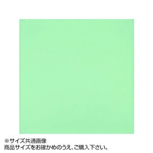 gV[ J[NX 19×19cm A1919-YOO G-18 Z[Wy[J[FsFszykCEE͔zBsz