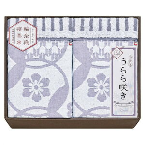 uC  炫 ^IPbg2P ITU66200 5520-019y[J[FsFszykCEE͔zBsz