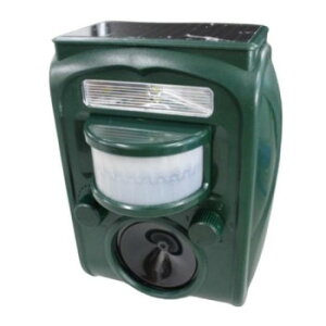 xXgEAT[ ފ aut-005y[J[FsFszykCEE͔zBsz