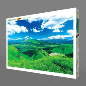 WO\[pY@{i@hs^̓@1000-801y[J[FsFszykCEE͔zBsz