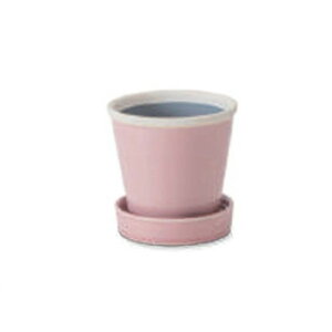 PLUS the green ObV[|bg TN 30799y[J[FsFszykCEE͔zBsz