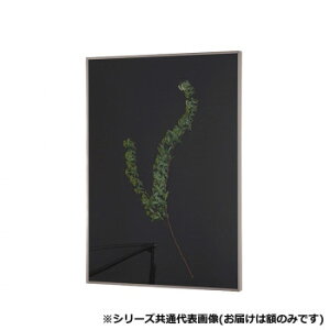 Ai@UVAN RIM@}bgVo[@600x300 16713y[J[FsFszykCEE͔zBsz