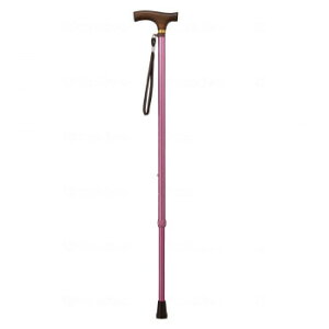 EFt@ CtXebL Lk^(X^Cv) sN 009711y[J[FsFszykCEE͔zBsz