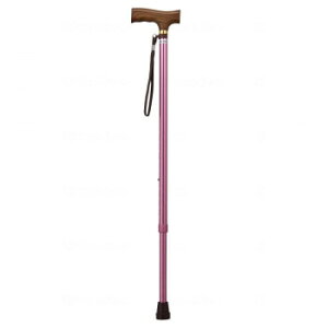 EFt@ CtXebL Lk^(x[VbN^Cv) sN 009712y[J[FsFszykCEE͔zBsz